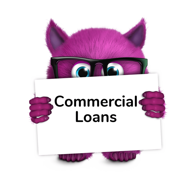 internet payday loans no credit check